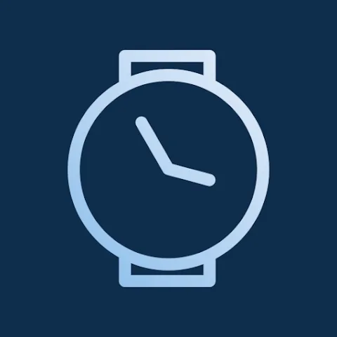 Moto Watch 100
